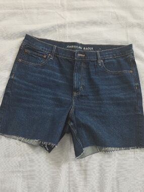 American Eagle Relaxed Shorts, Size 16